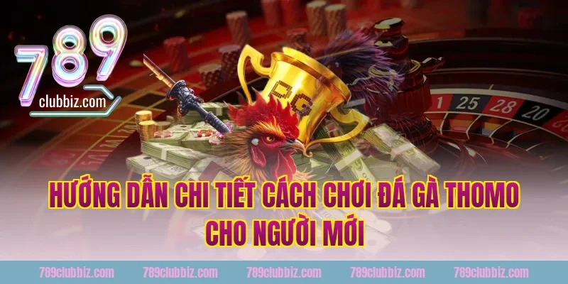 Hướng dẫn chi tiết cách chơi đá gà thomo 789Club cho người mới