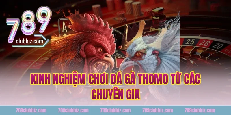 Kinh nghiệm chơi đá gà thomo từ các chuyên gia 789Club