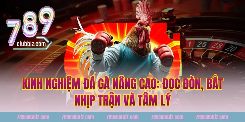 kinh nghiệm đá gà nâng cao tại 789Club: đọc đòn, bắt nhịp trận và tâm lý
