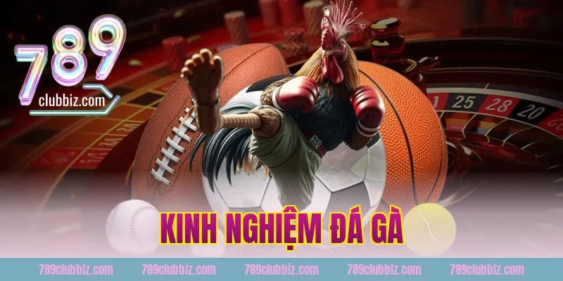kinh nghiệm đá gà